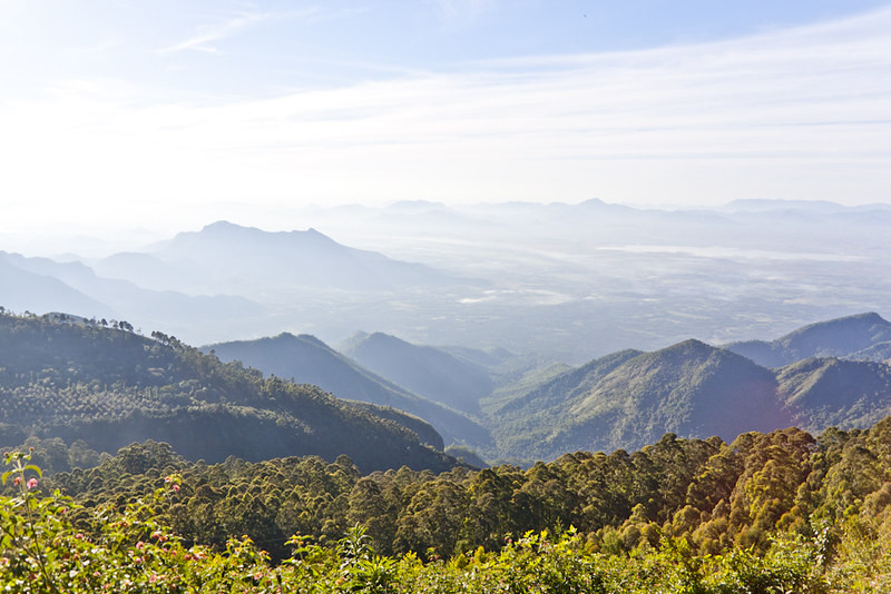 Green valley view point