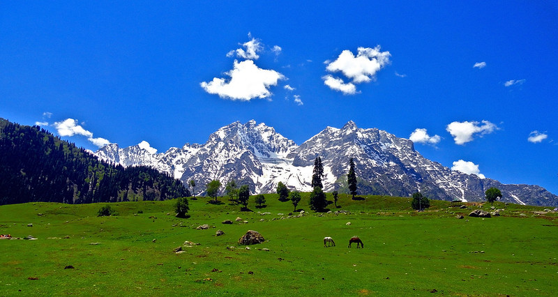 Thajwas glacier