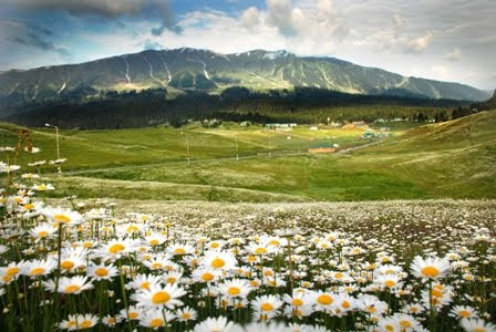 gulmarg