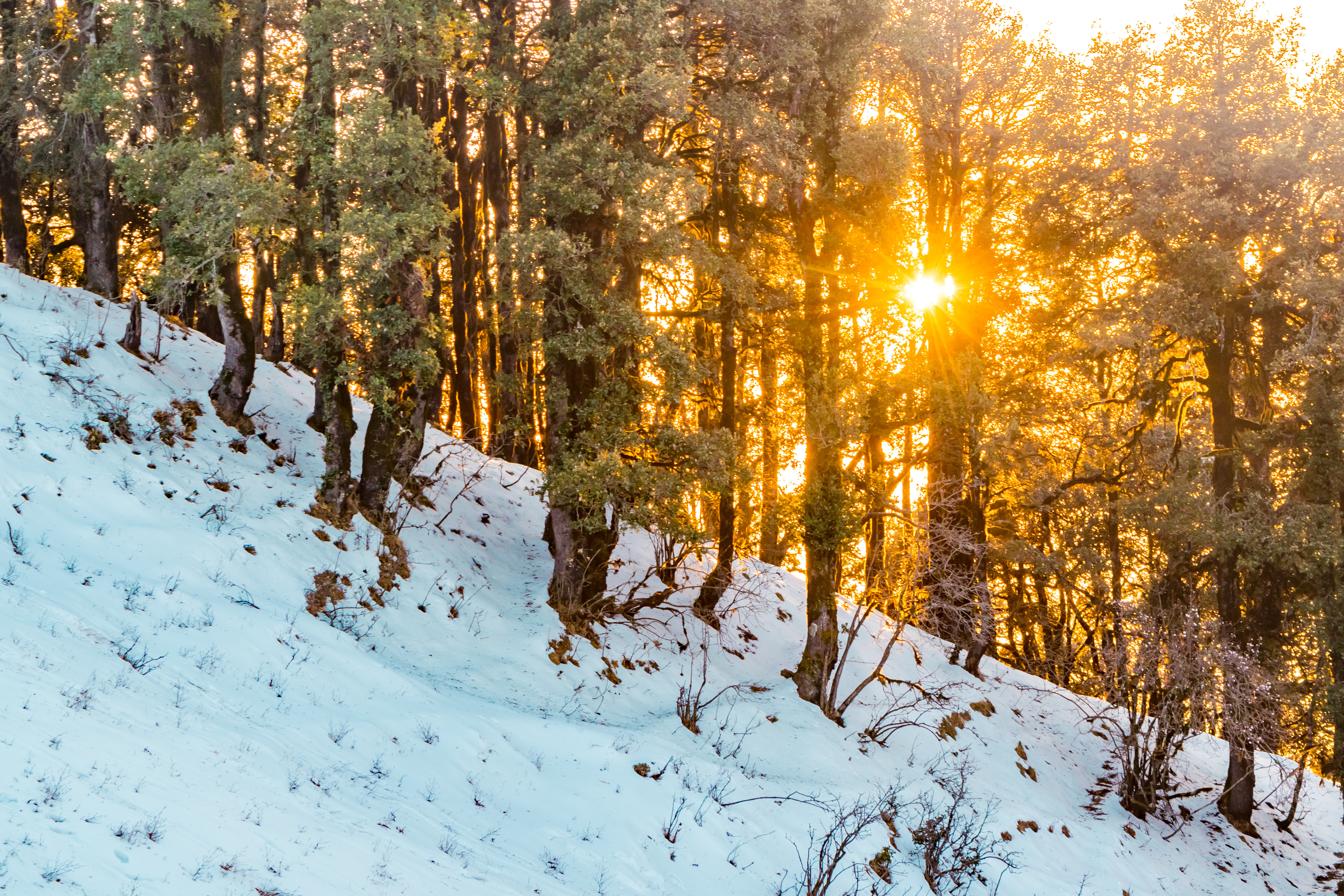 Nag Tibba