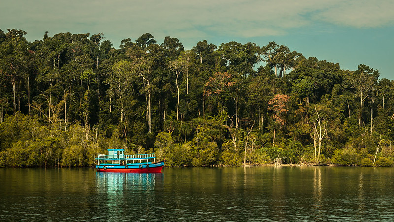 Baratang island andaman