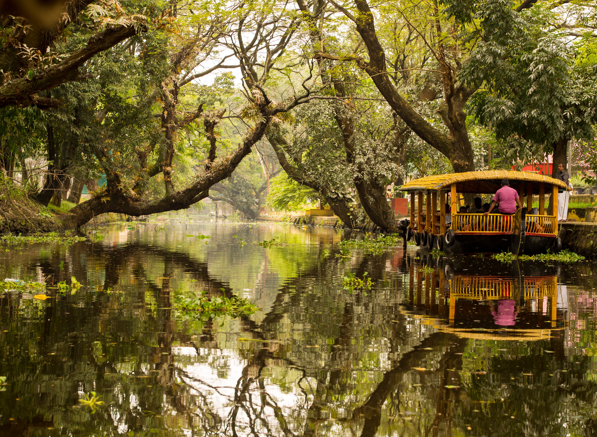 Alleppey Backwaters