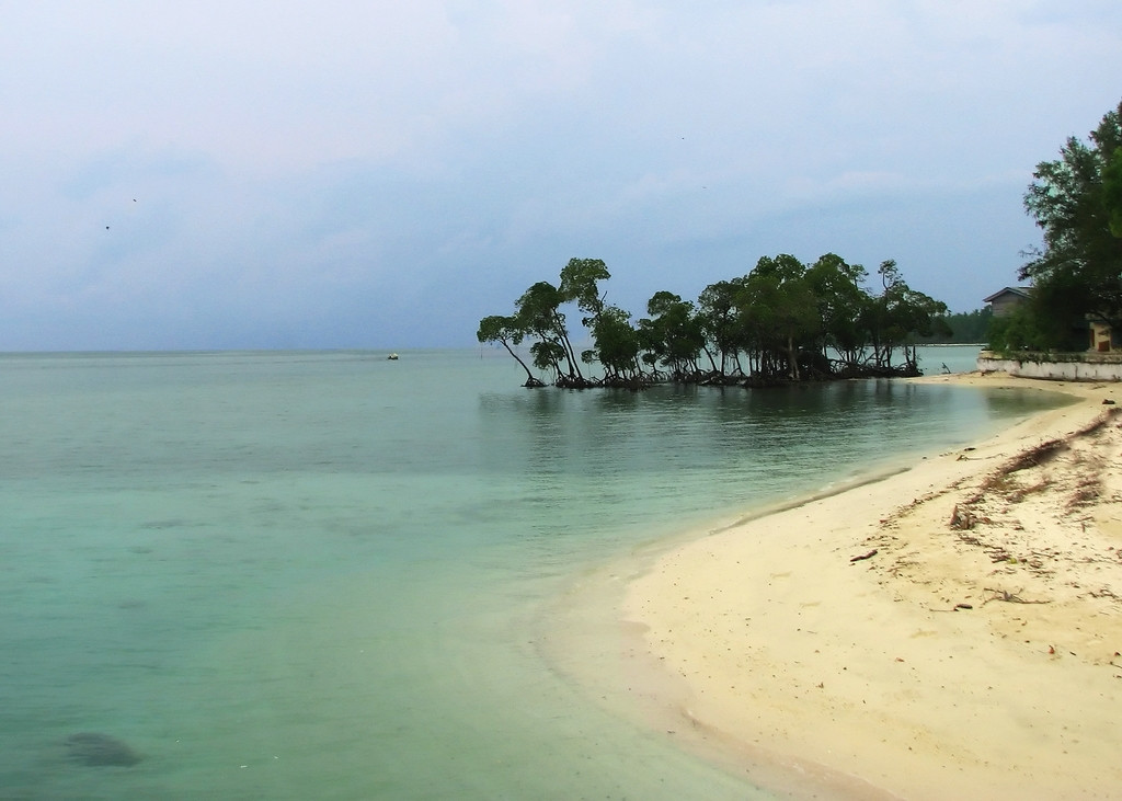 Havelock island