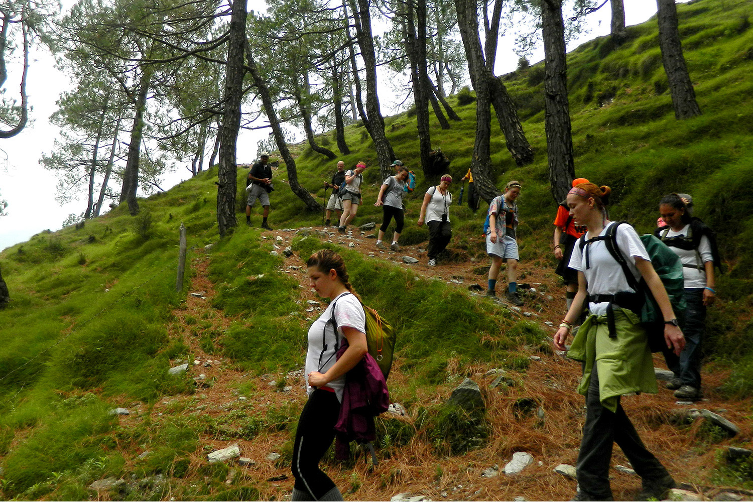 Trekking in Mcleodganj