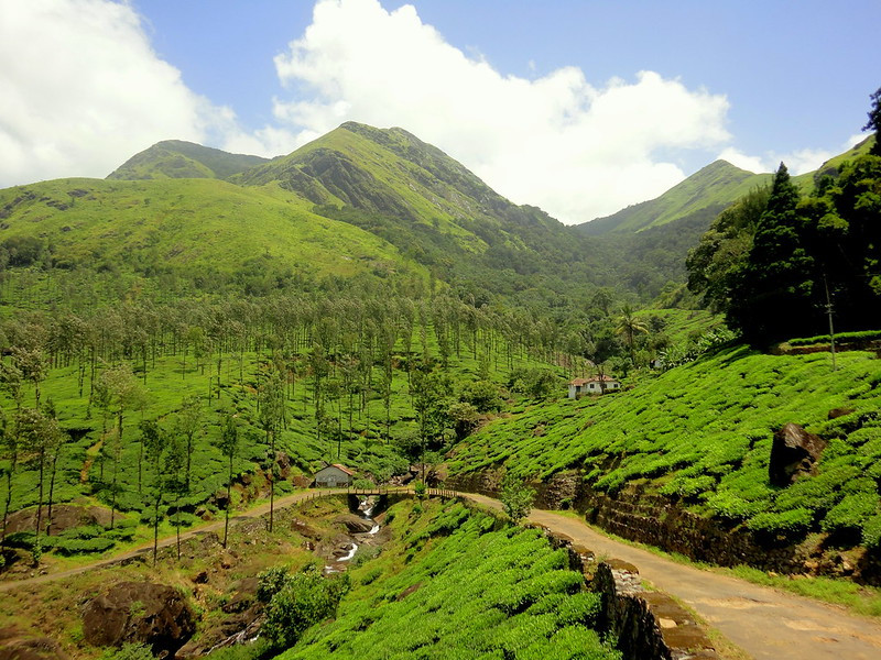 Wayanad Natural