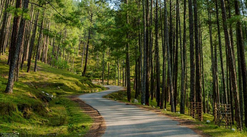 Way to Sankri Village