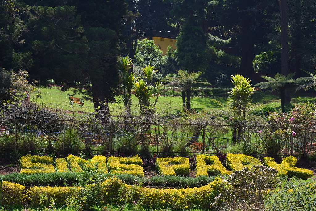 Sim's Park