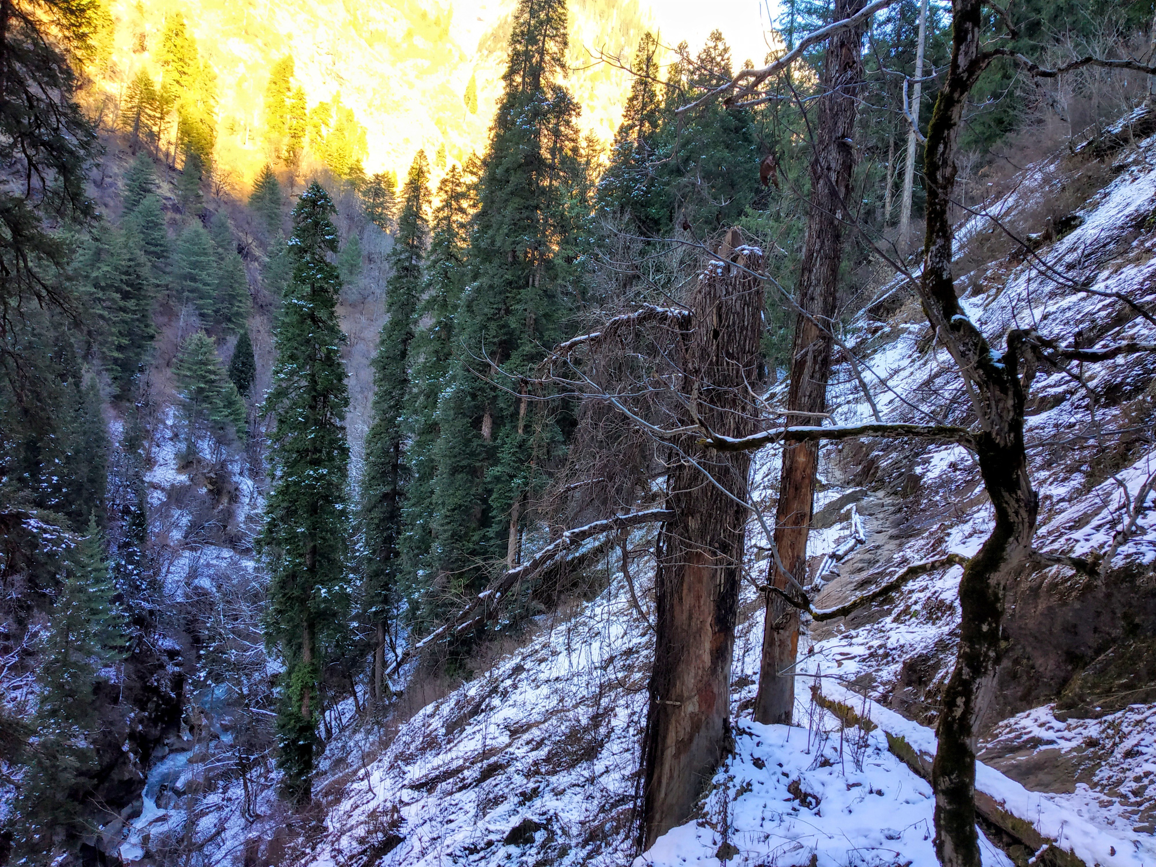 Kheerganga Trek