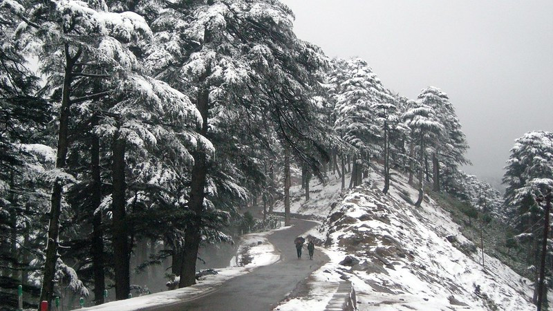 patnitop