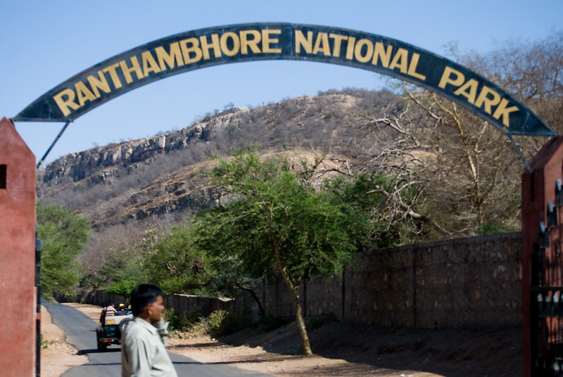 ranthambore entry