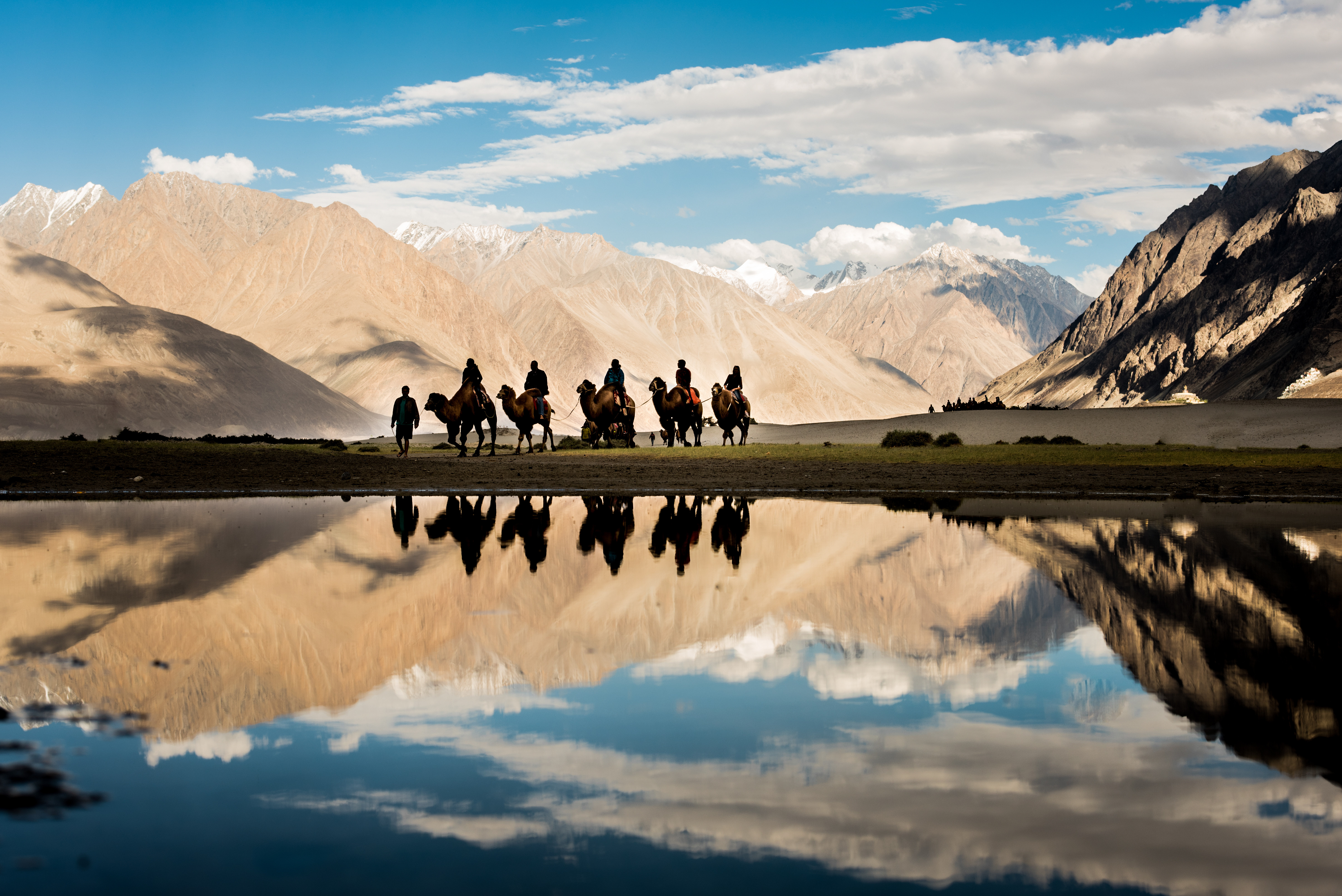 Camel Safari in Ladakh