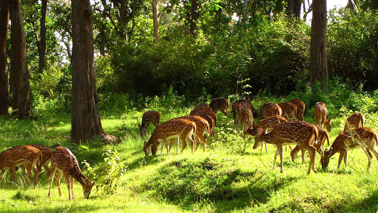 Ballavpur Wildlife Sanctuary