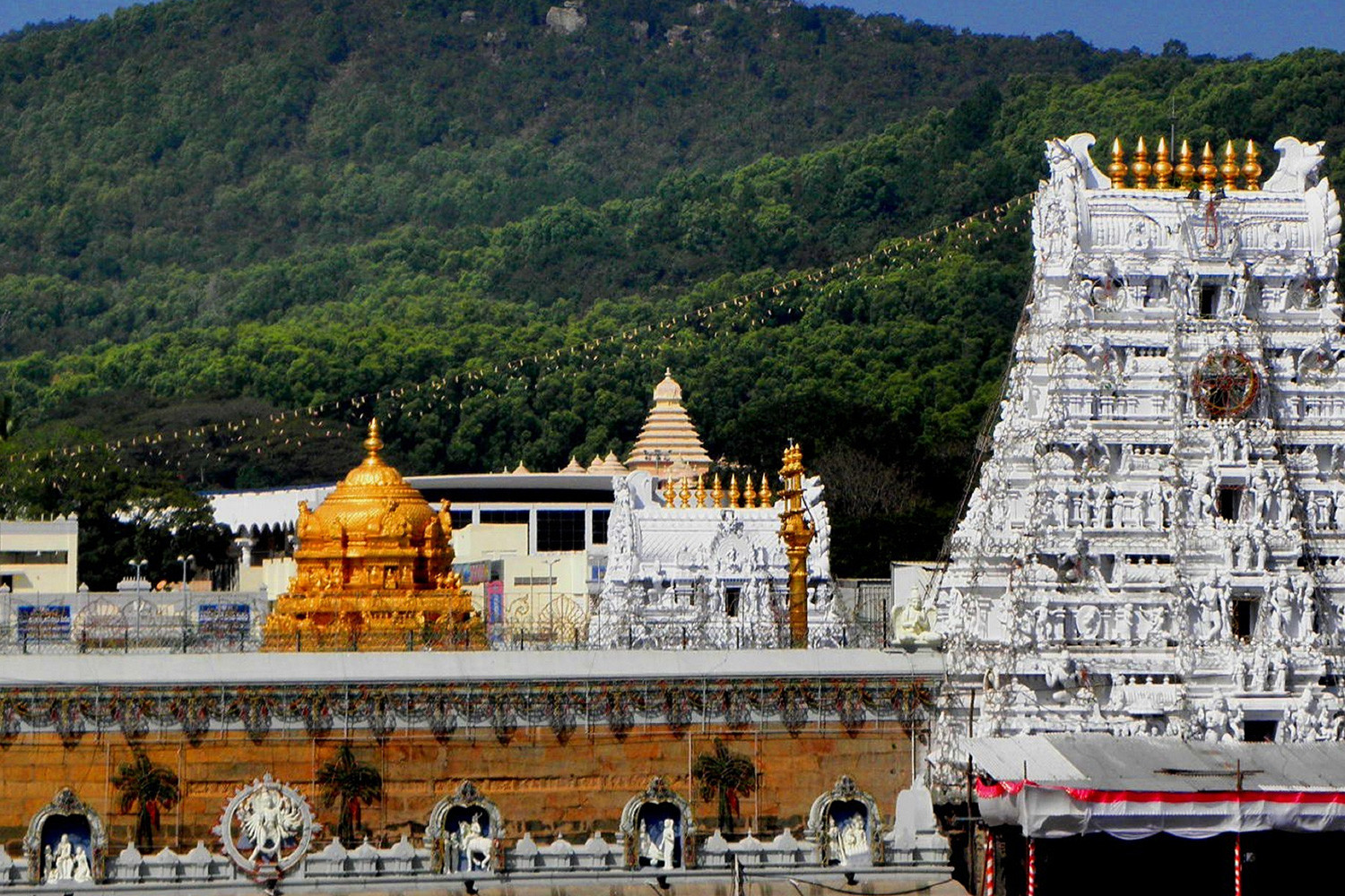 Tirupati Balaji Darshan