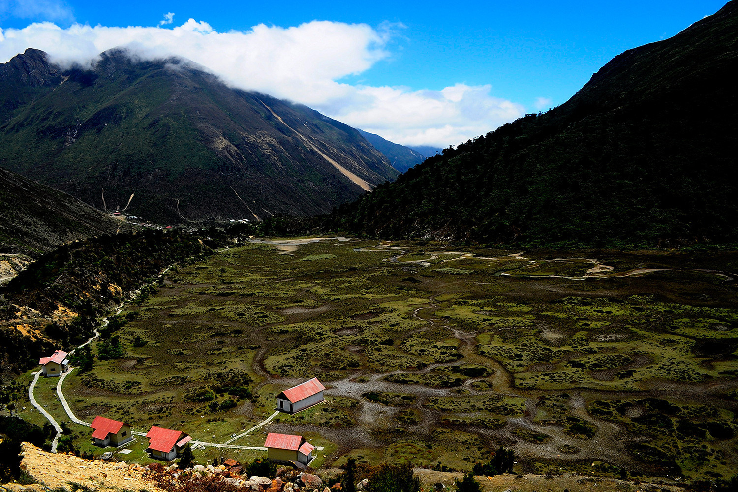 Chopta valley
