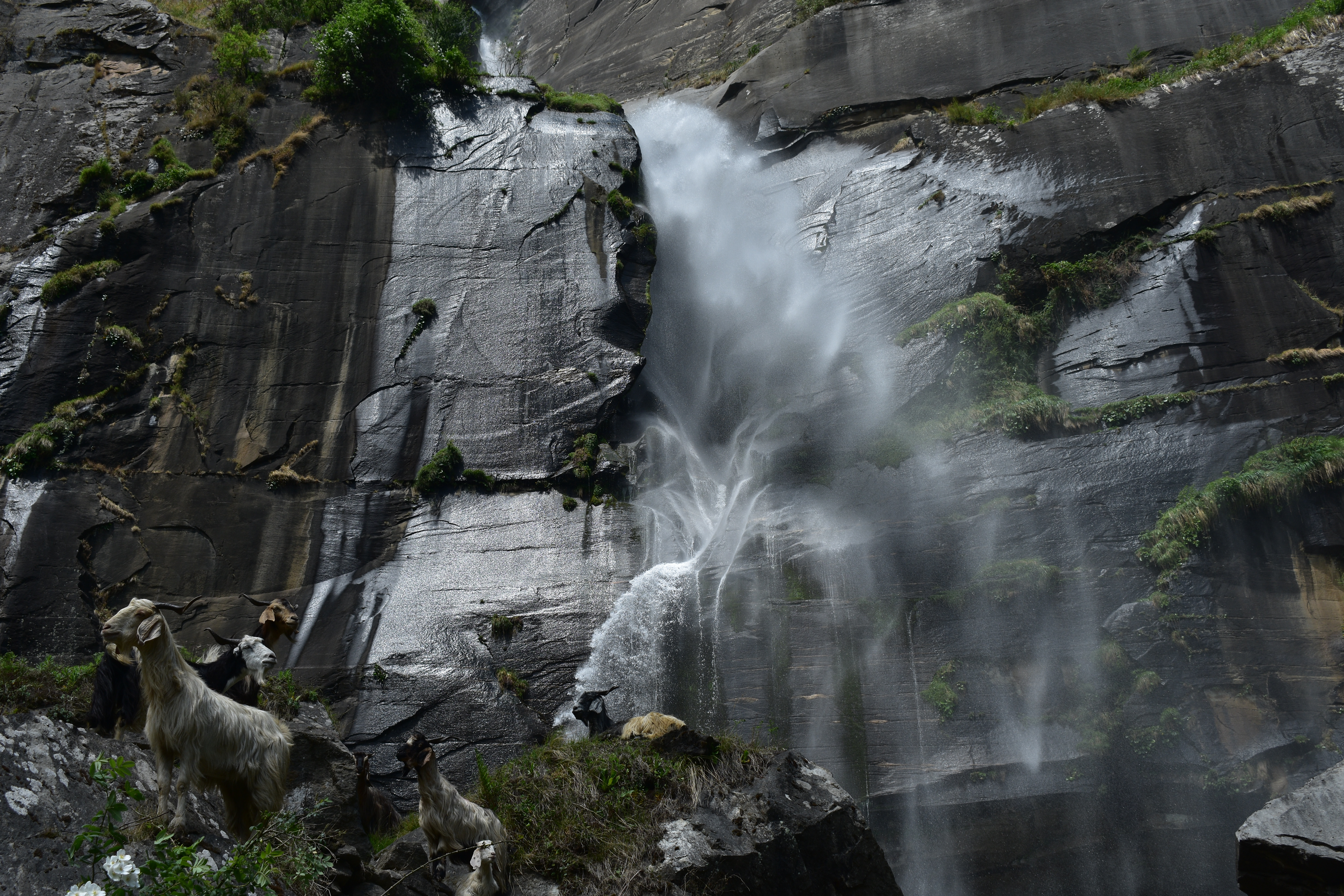 Jogni Falls, Manali