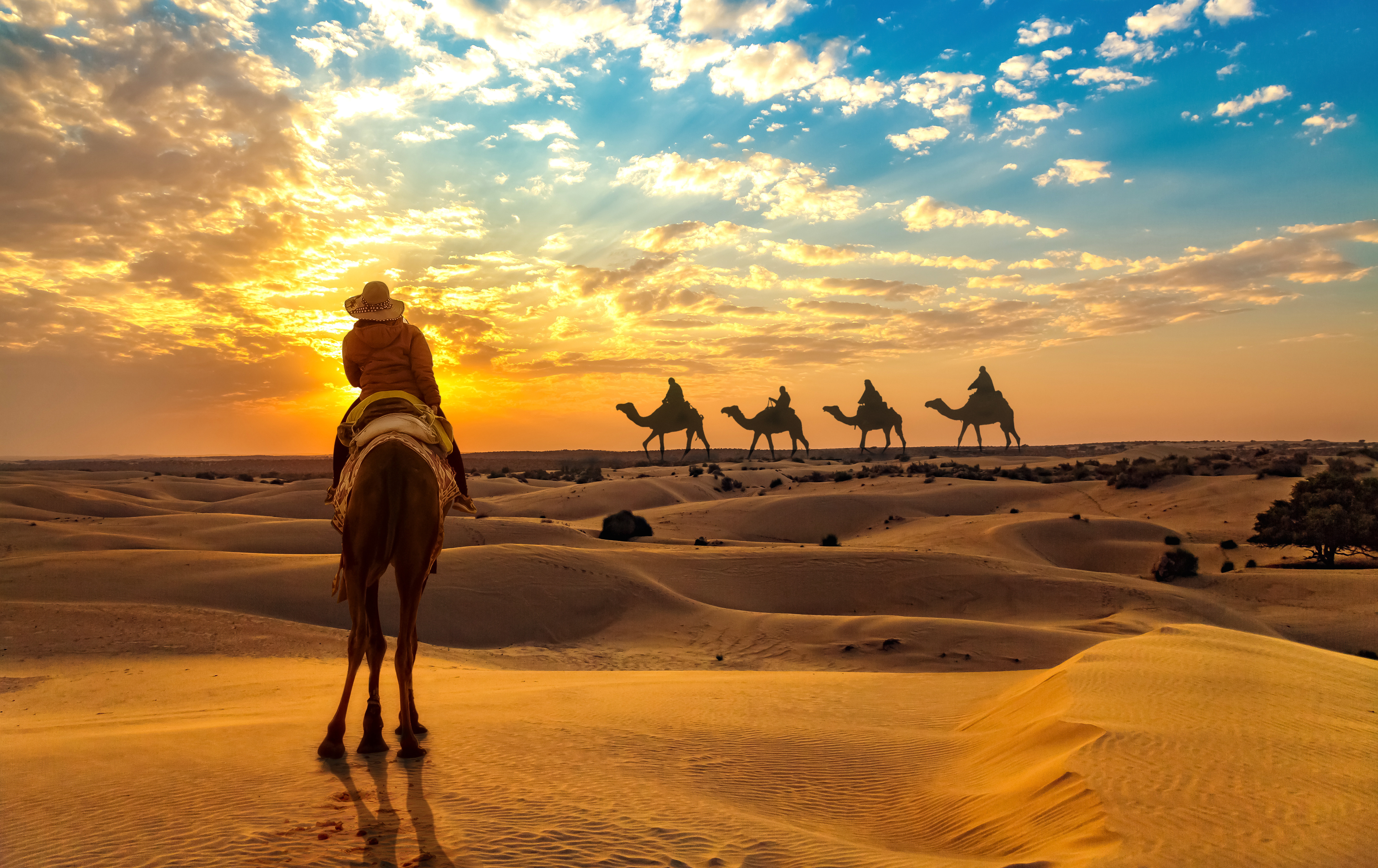 Camel safari  Jaisalmer