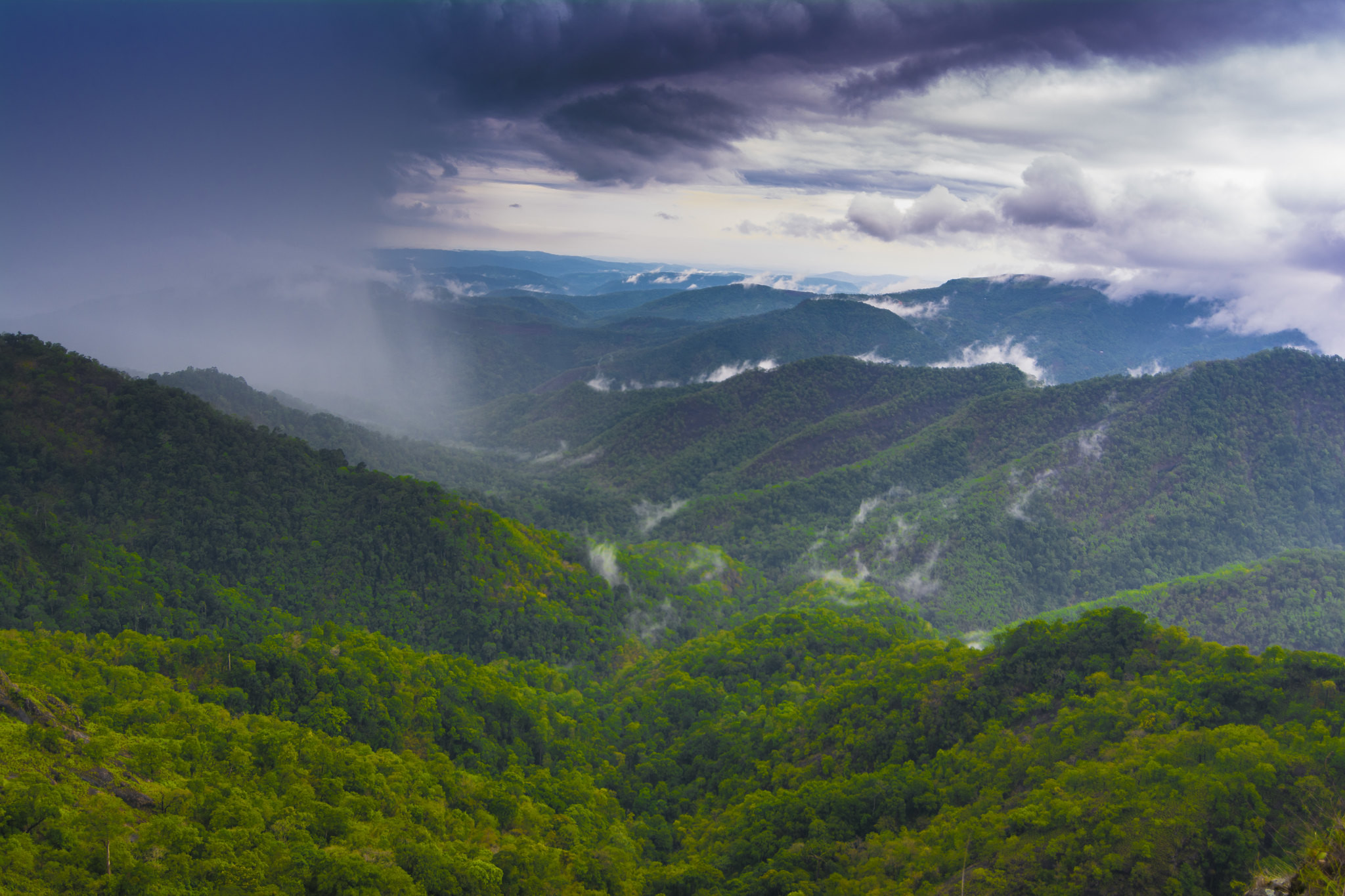 Thekkady