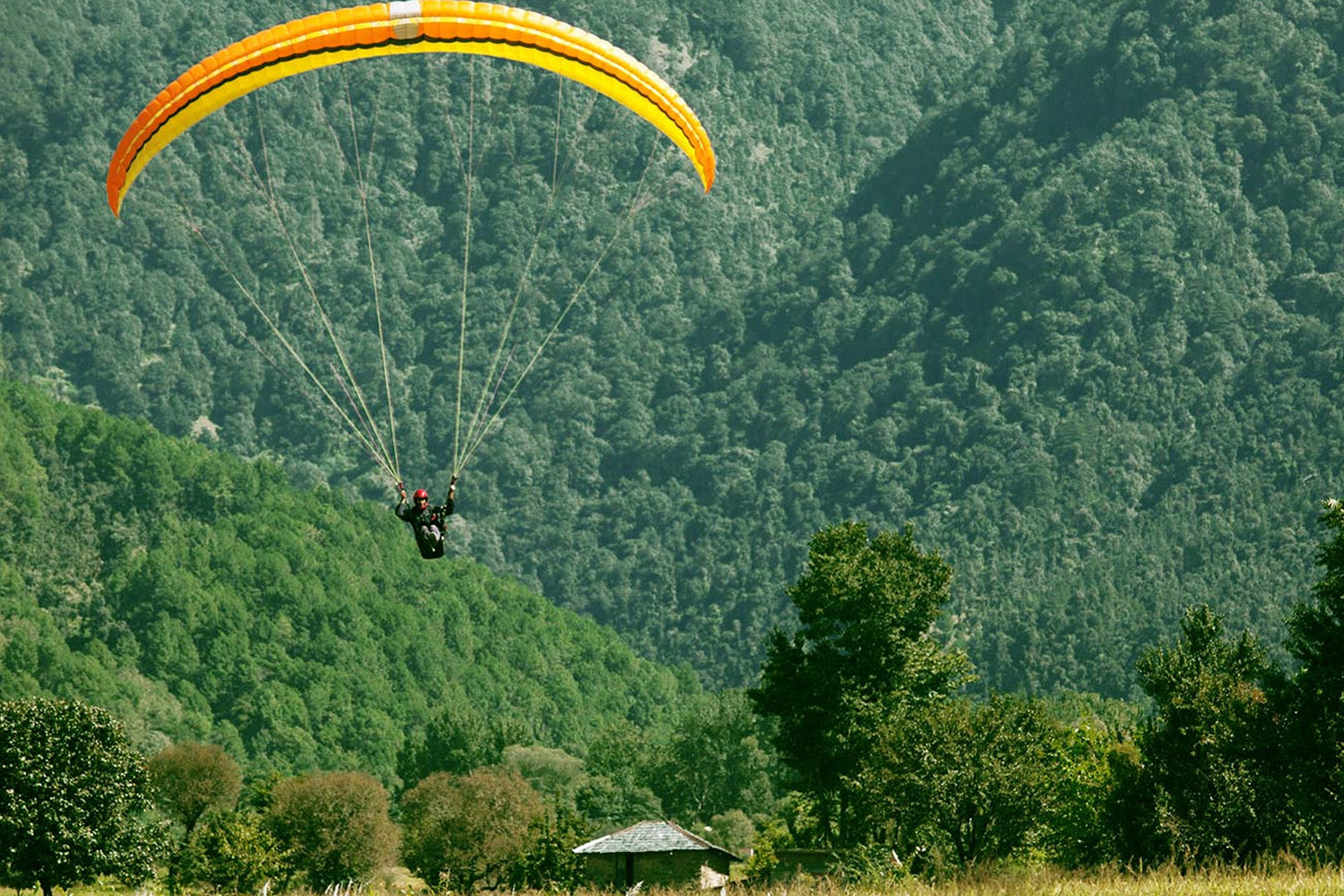 Paragliding in Mcleodganj