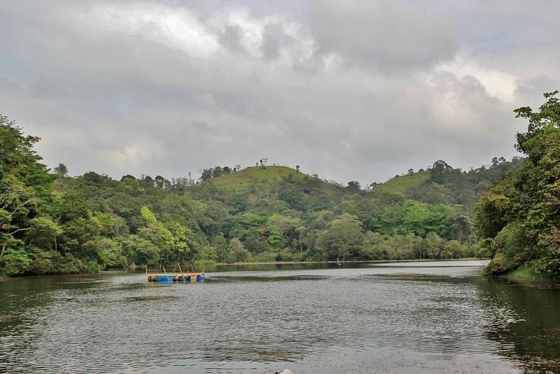 Pookode Lake