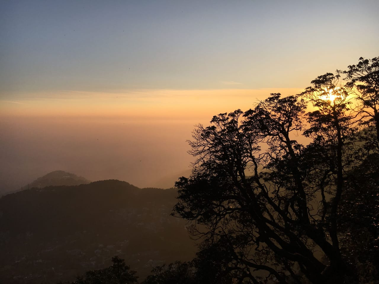 Triund Trek