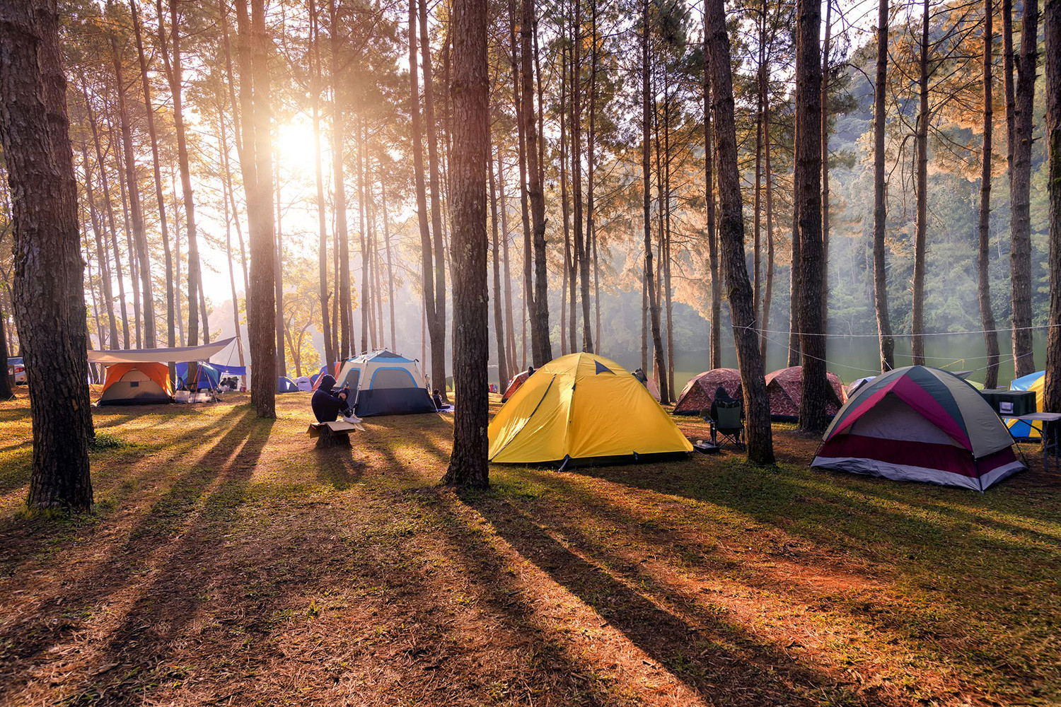 Camping in Khajjiar