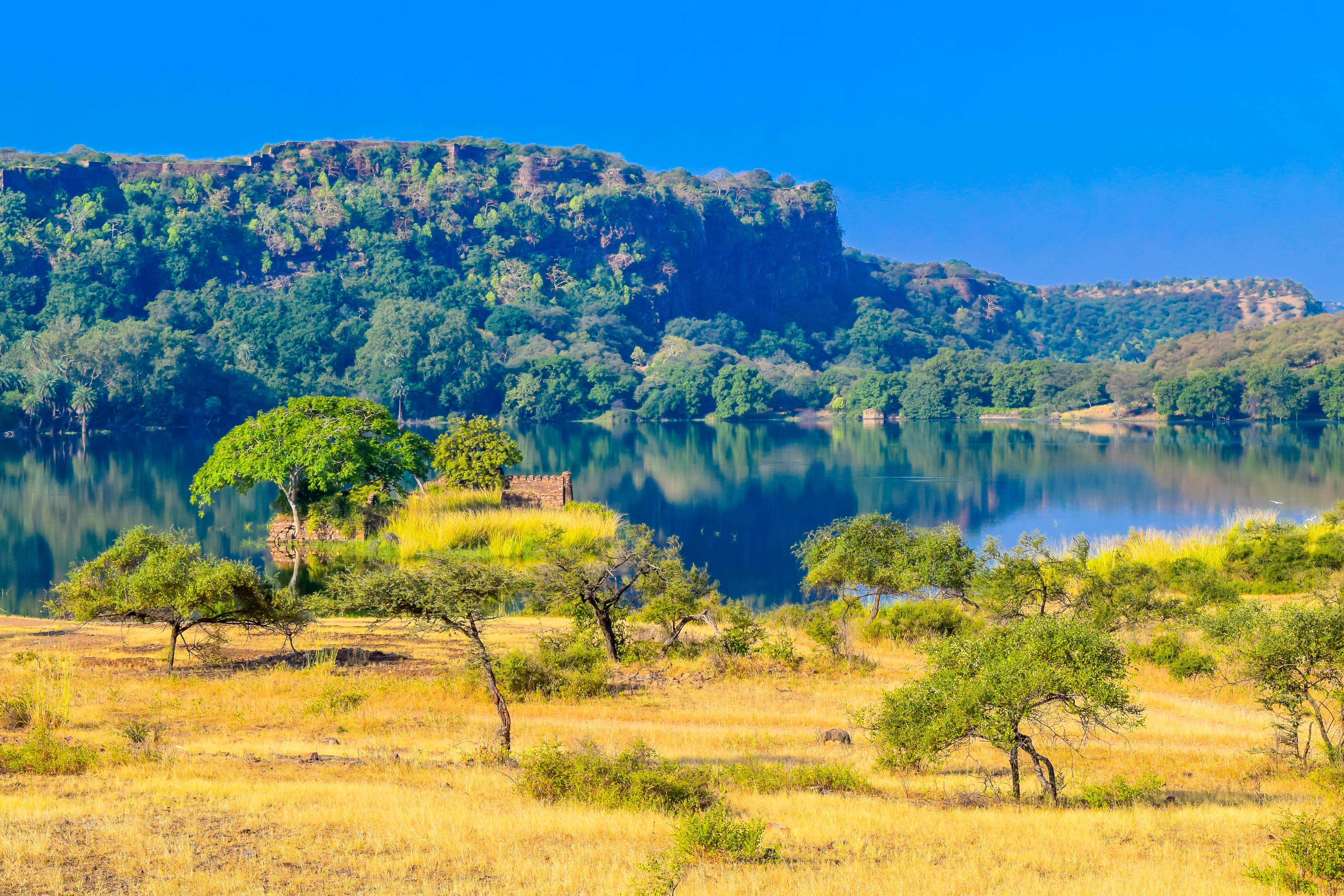 Jim Corbett National Park