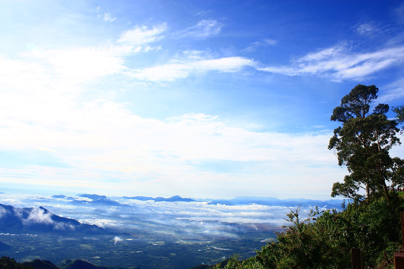 Coakers walk kodaikanal