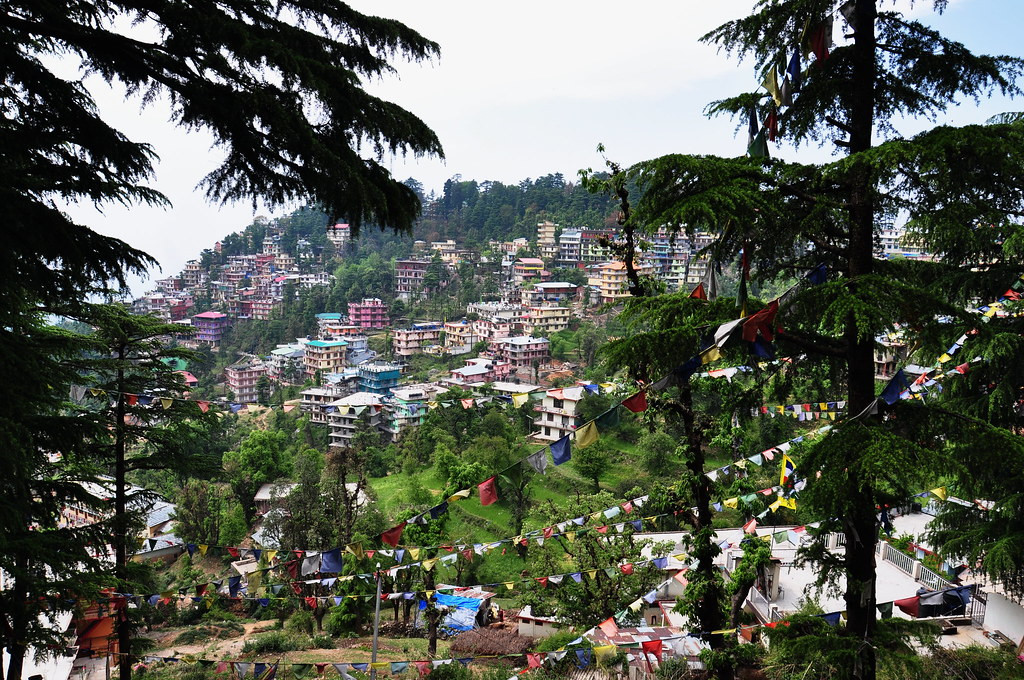 Himachal Circuit Tour