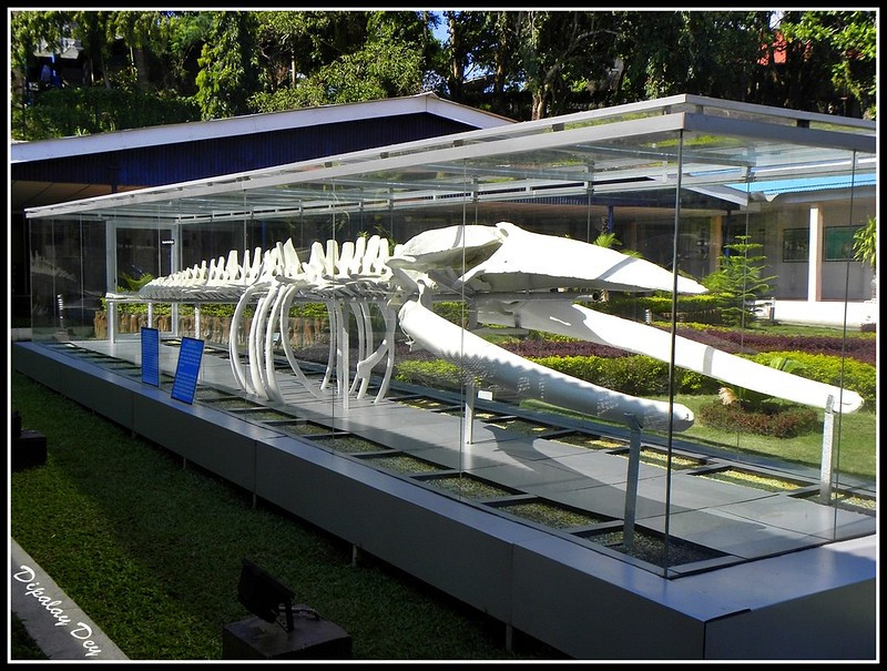 Samudrika museum andaman