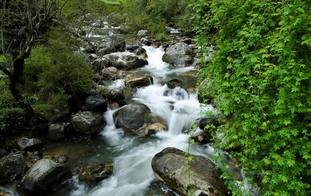 Jibhi River side