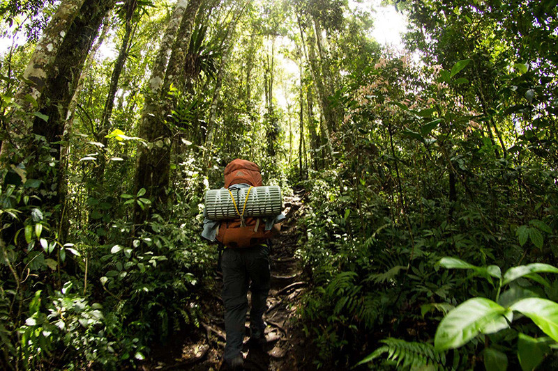 Kodia Jungle Trek