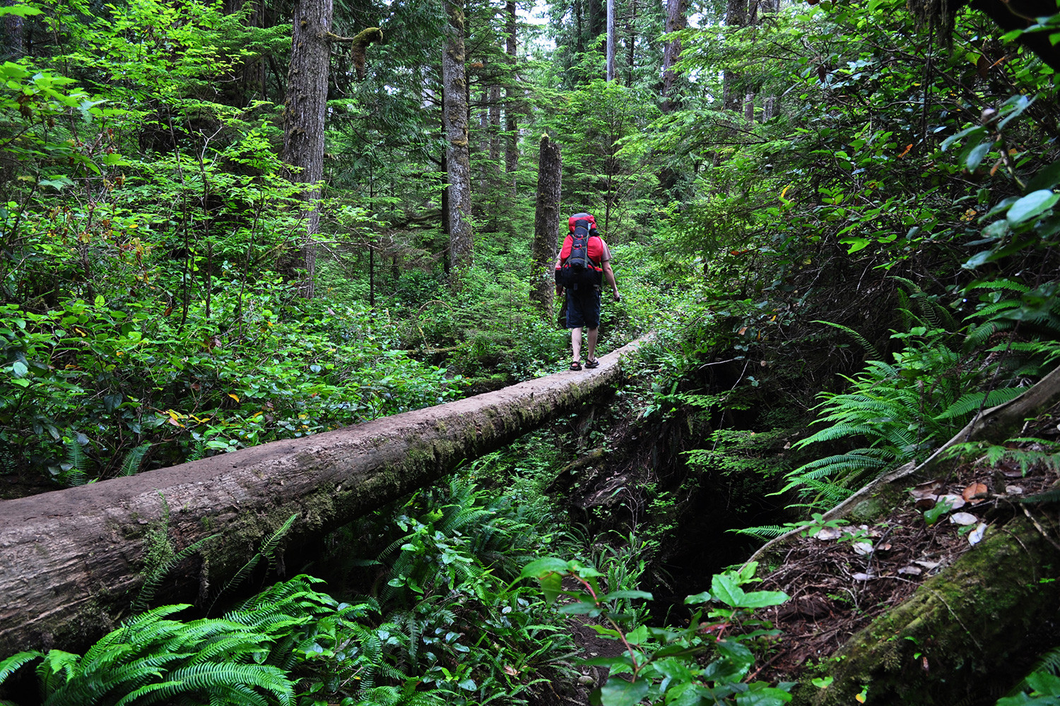 Trekking in Askote