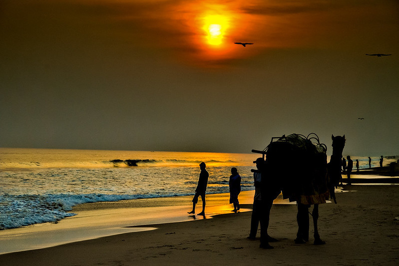 chandrabhaga beach