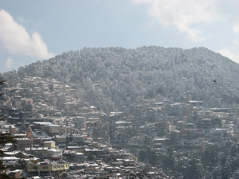 Shimla