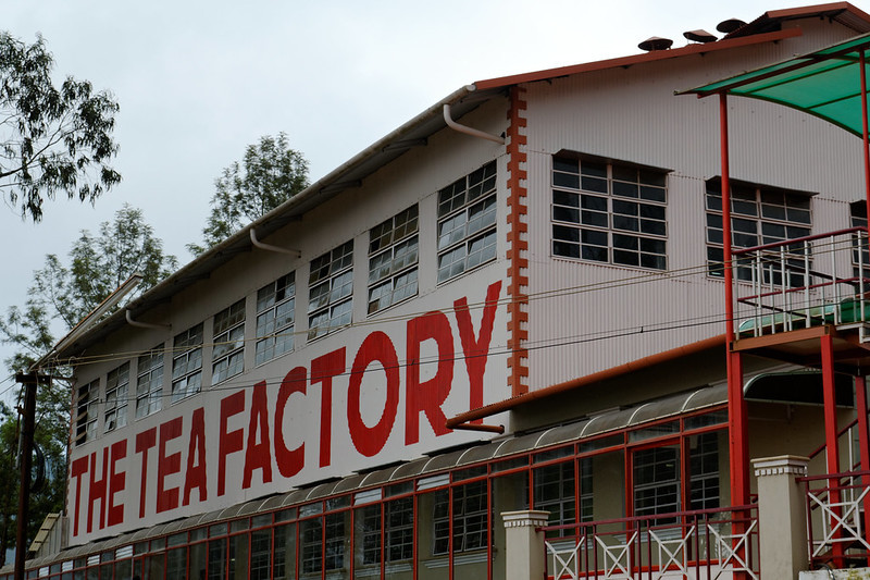 Tea Factory, Ooty