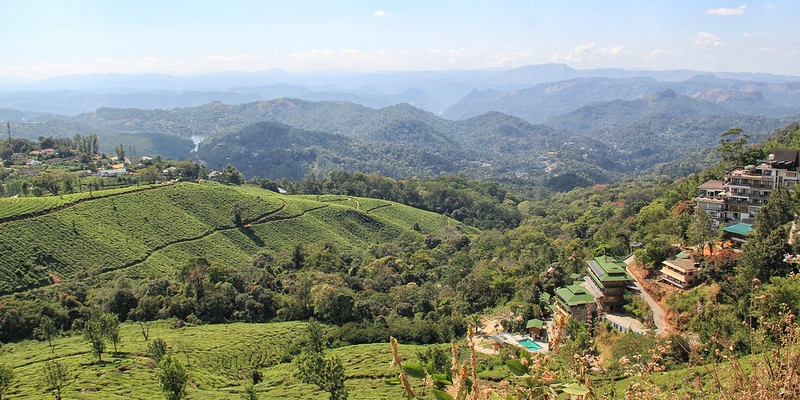 Pothamedu View Point, Munnar