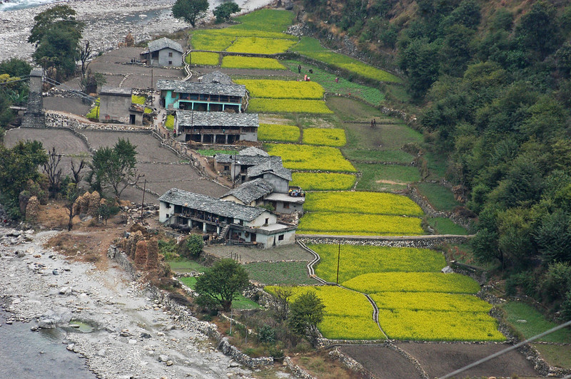 Sankri Village