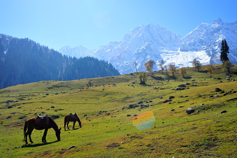 sonmarg