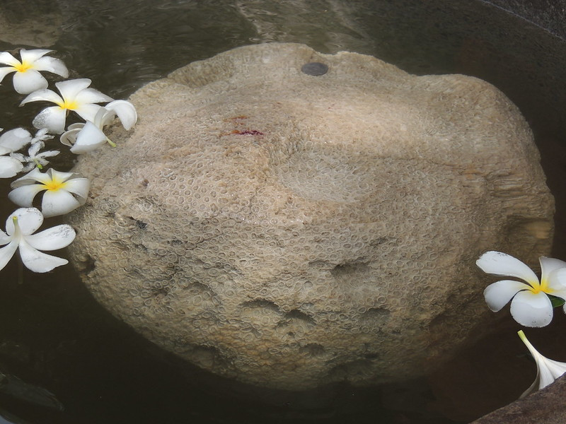 Rameshwaram Floating Stone