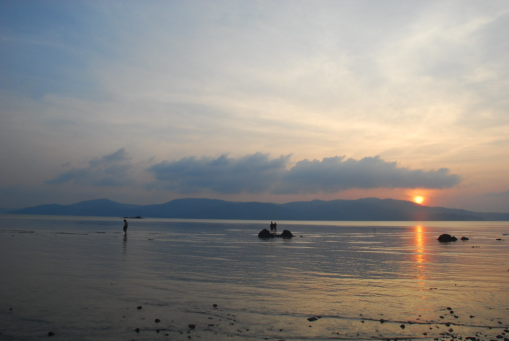 Chidiya tapu andaman