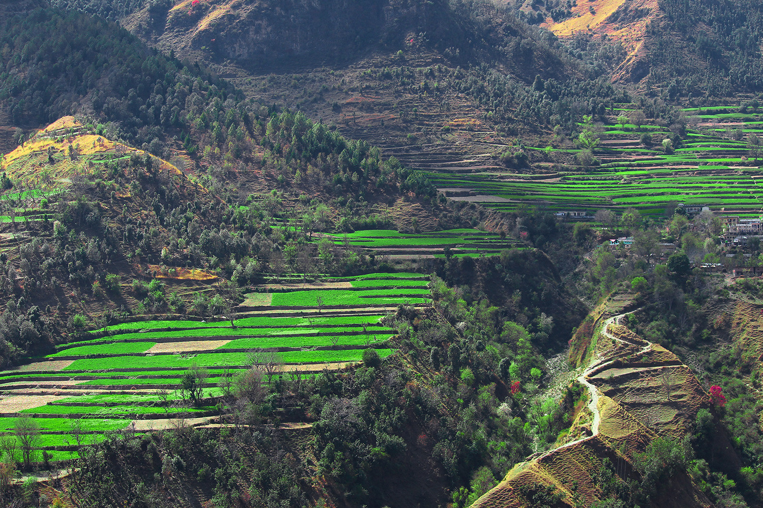 Chakrata Hill Station