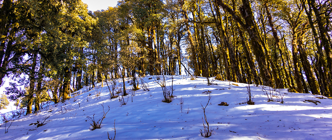 Nag Tibba