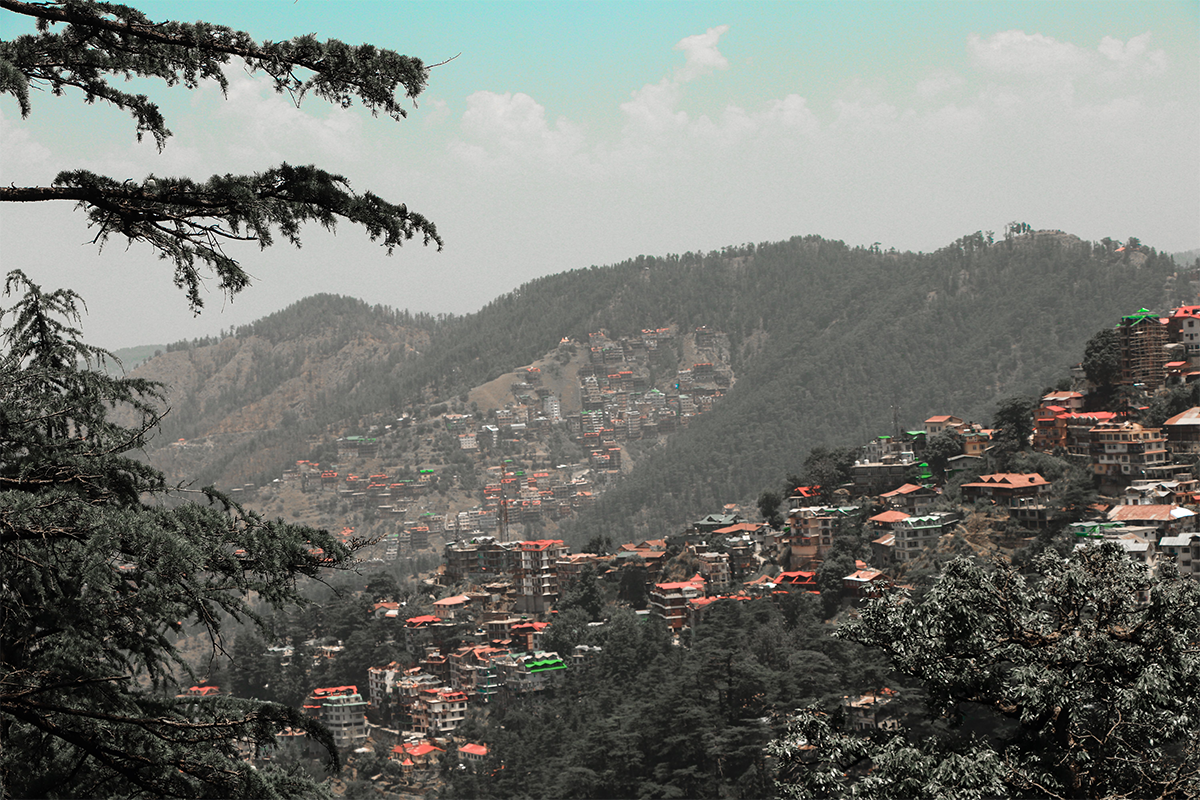 Shimla Honeymoon Package By Pvt Vehicle