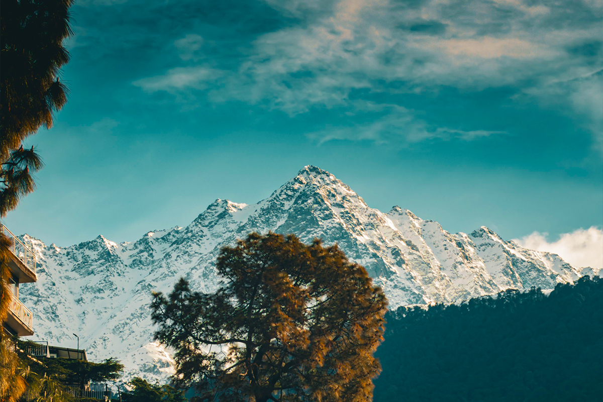 Dharamshala & Dalhouise Honeymoon Package