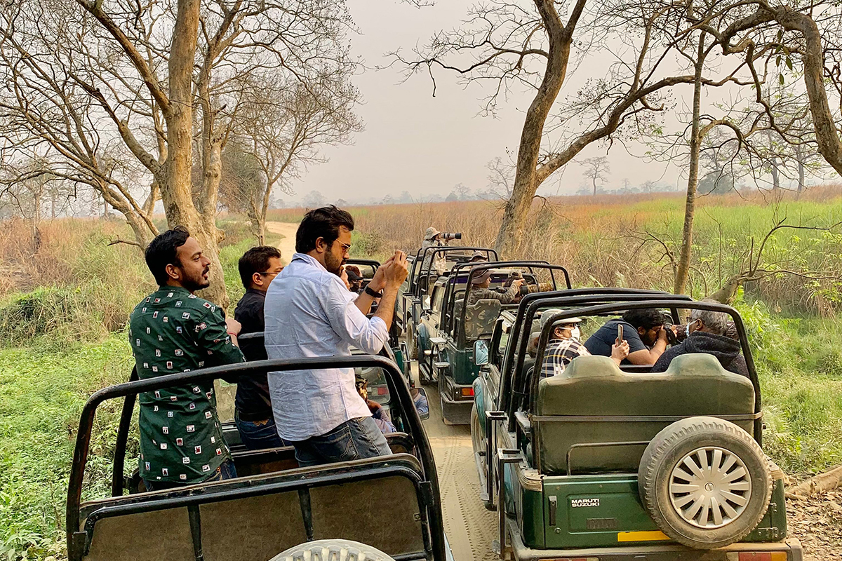 Assam Wildlife Getaway