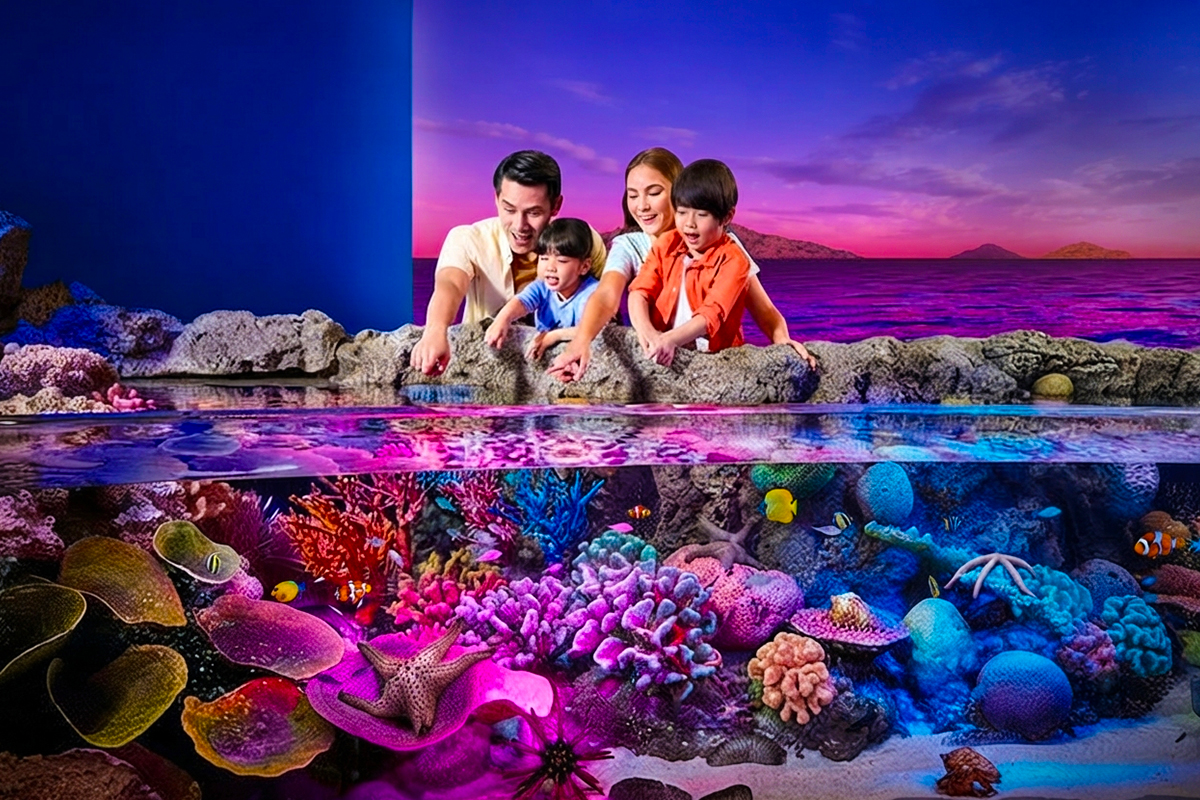 Combo tour of Bangkok, Pattaya,Phuket